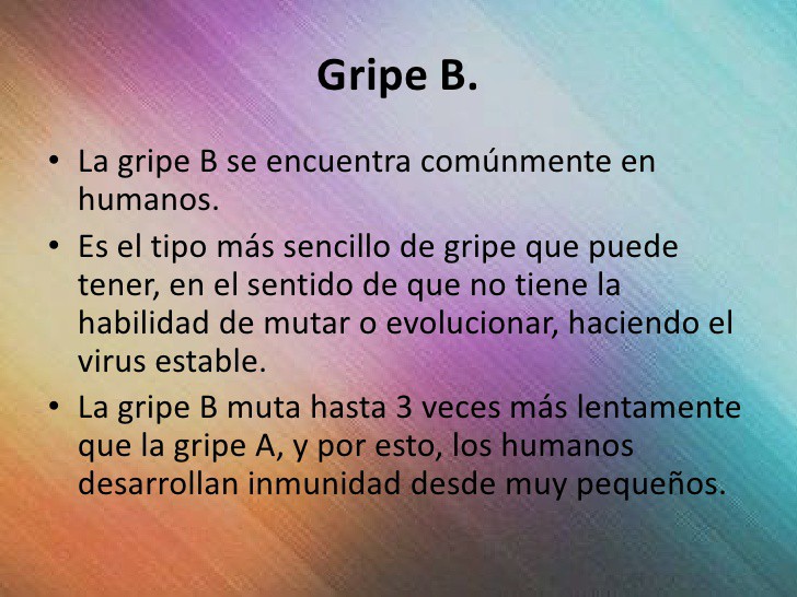 Qué Es El Virus De La Influenza Tipo B | Stop En Línea