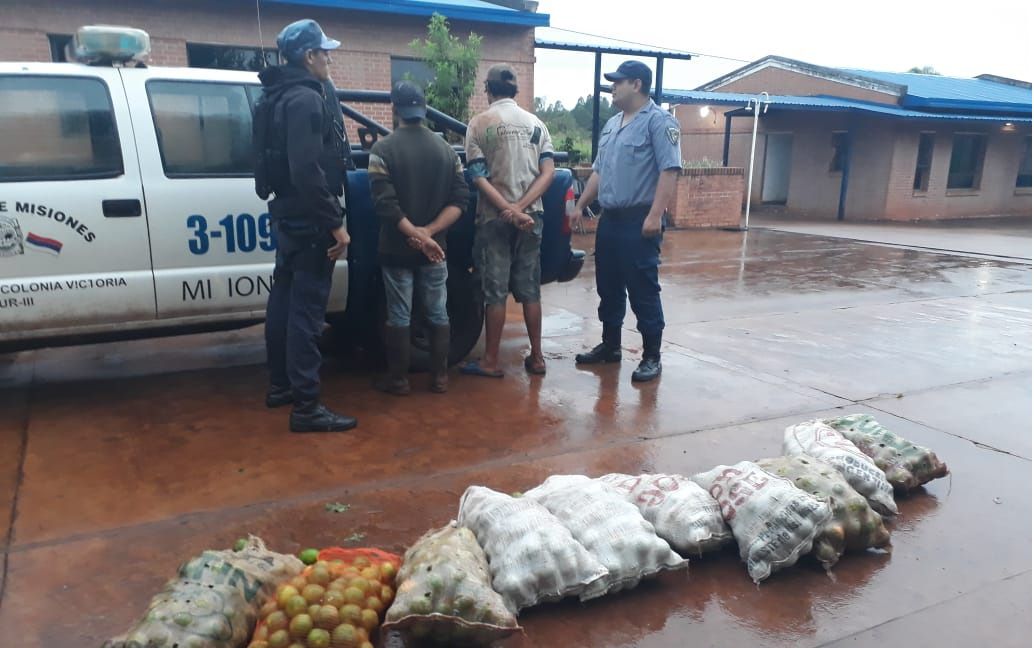 Los Sorprendieron Robando Frutas De Un Establecimiento | Stop En Línea